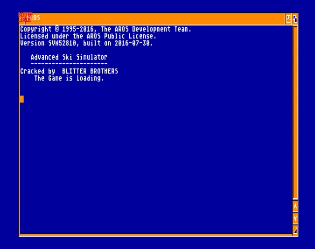 Advanced Ski Simulator (1989)(Codemasters)[cr QTX][h BBP][a disk label]