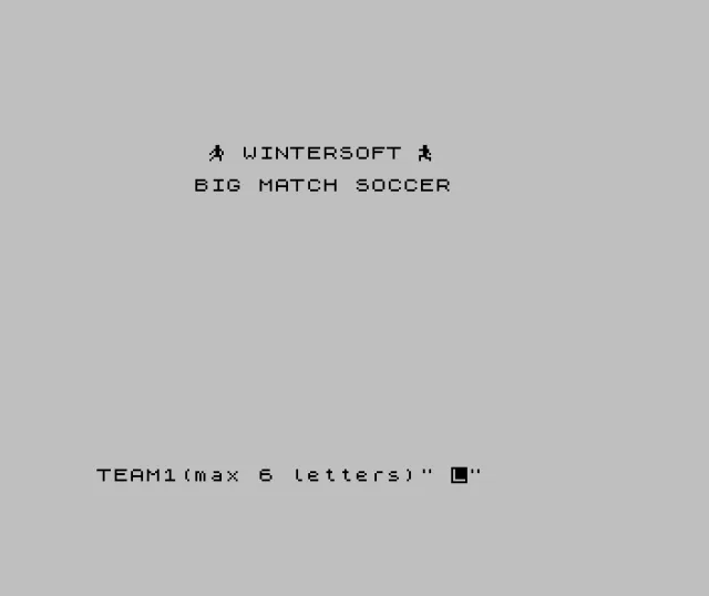 Big Match Soccer