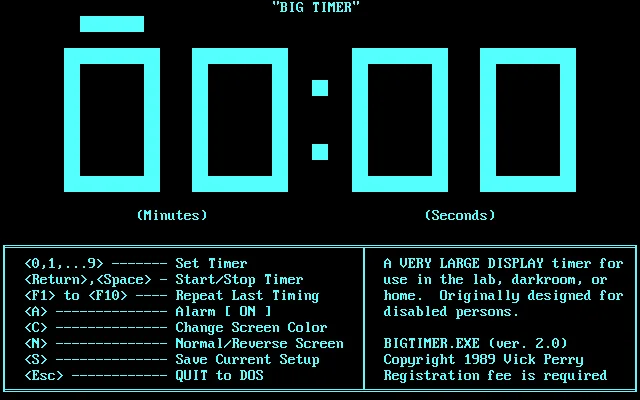 BIG TIMER