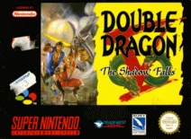 Double Dragon V: The Shadow Falls