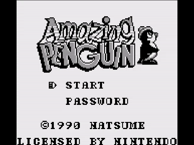 Amazing Penguin