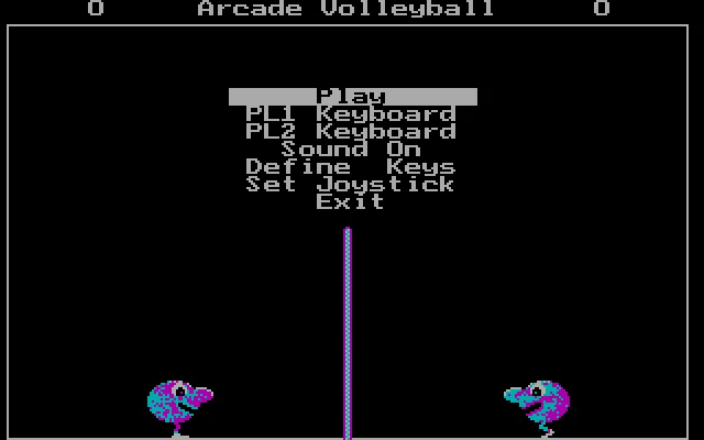 Arcade Volleyball