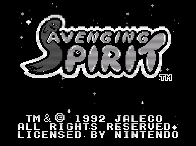 Avenging Spirit