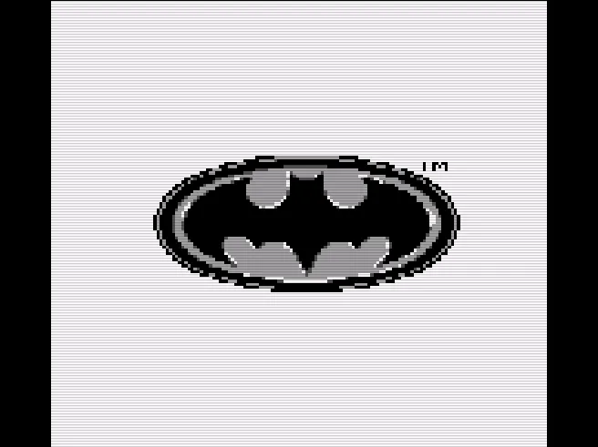 Batman - The Video Game