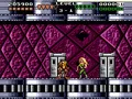Battletoads & Double Dragon
