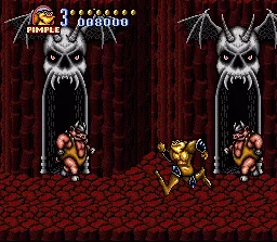 Battletoads in Battlemaniacs