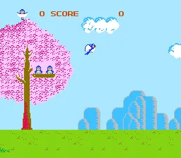 Bird Week