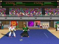 Budokan: The Martial Spirit