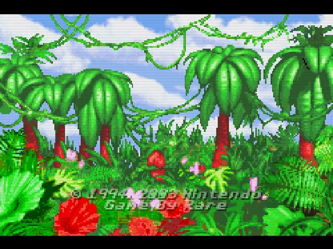 Donkey Kong Country
