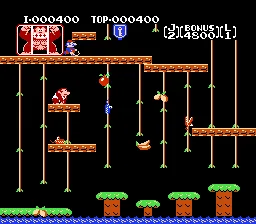 Donkey Kong Jr.