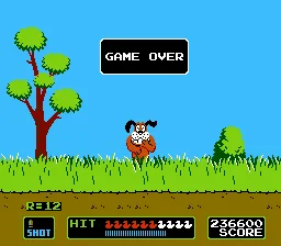 Duck Hunt