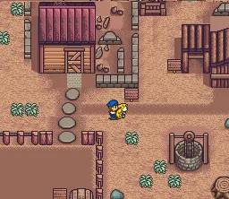 Harvest Moon