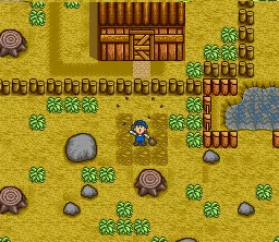 Harvest Moon