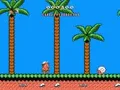 Hudson’s Adventure Island II