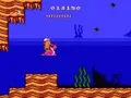 Hudson’s Adventure Island II