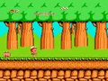 Hudson’s Adventure Island