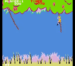 Jungle Hunt