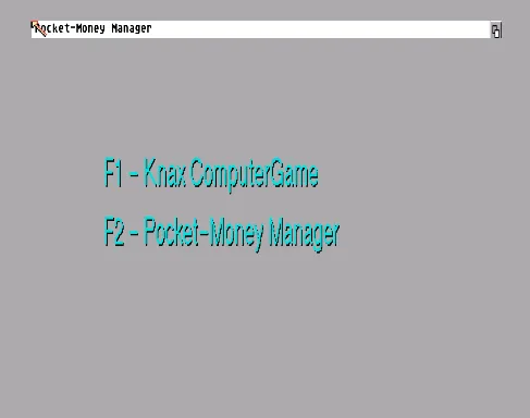 Knax Computerspiel, Das