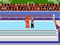 Mat Mania Challenge