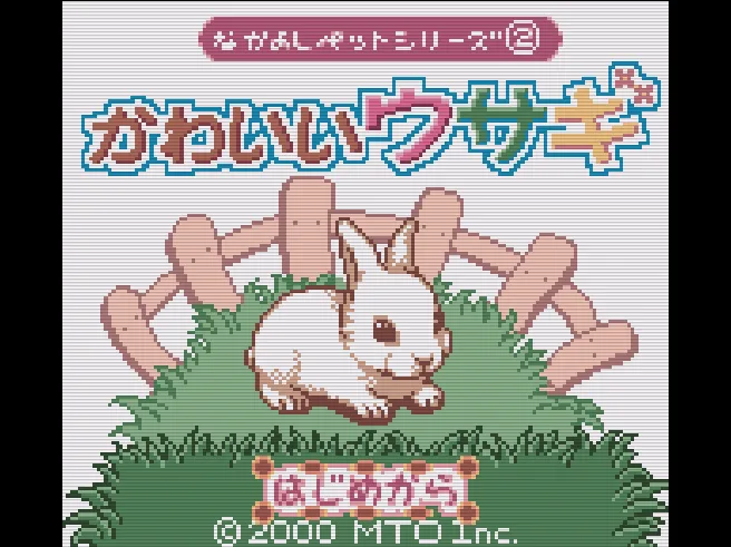 Nakayoshi Pet Series 2 - Kawaii Usagi