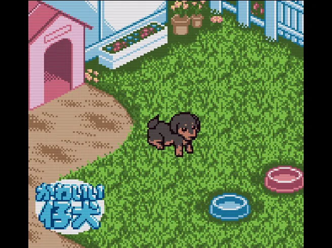Nakayoshi Pet Series 3 - Kawaii Koinu