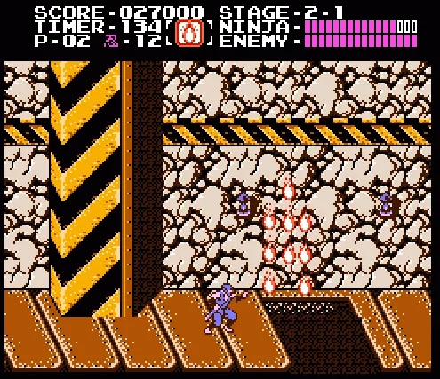 Ninja Gaiden (Shadow Warriors)