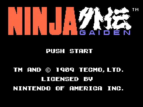 Ninja Gaiden (Shadow Warriors)
