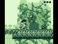 SHARE THIS GAME