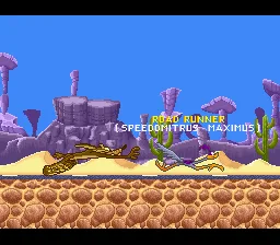 Road Runner’s Death Valley Rally