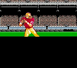 Tecmo Super Bowl