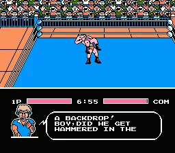 Tecmo World Wrestling