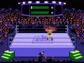 Title Match Pro Wrestling