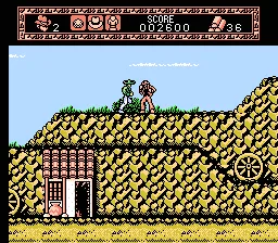 Young Indiana Jones Chronicles, The